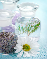 Herbal ingredients