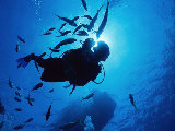 SKIN AND HAIR CARE PRODUCTS FOR SCUBA DIVERS